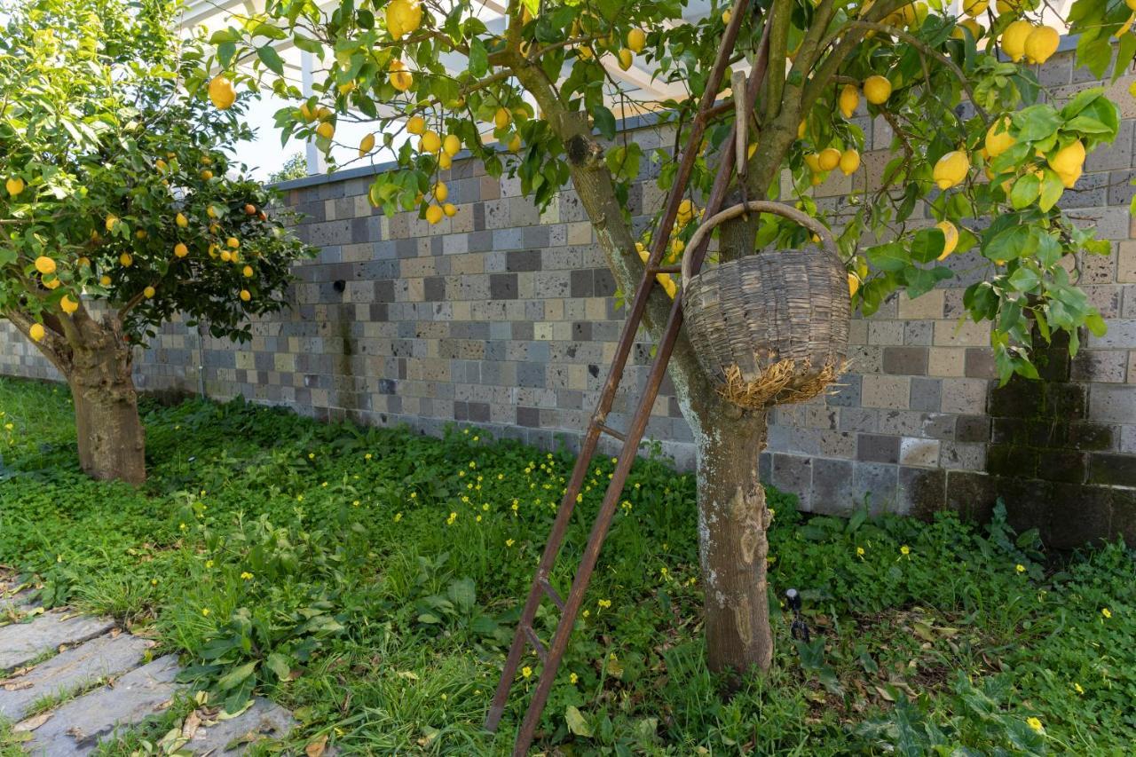 Tenuta Di Leva Piano di Sorrento Buitenkant foto