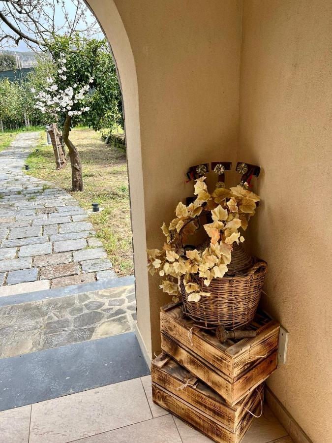 Tenuta Di Leva Piano di Sorrento Buitenkant foto